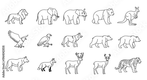 Collection of various wild animal drawings 7.