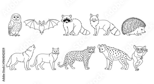 Collection of various wild animal drawings 10.