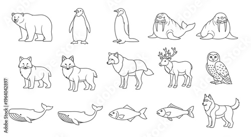 Collection of various wild animal drawings 15.