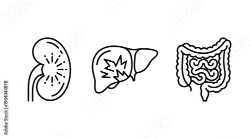 Anatomical icons representing the human kidney, the liver with cirrhosis and the large intestine