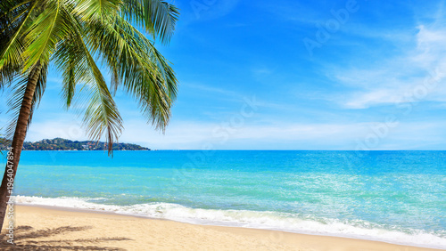 Sea beach, ocean landscape, paradise tropical island, beautiful nature panorama, coconut palm tree green leaves, turquoise water, white sand, blue sunny sky, clouds, summer holidays, vacation, travel
