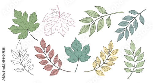 Hand-Drawn Autumn Leaves Collection: Diverse Shapes and Colors