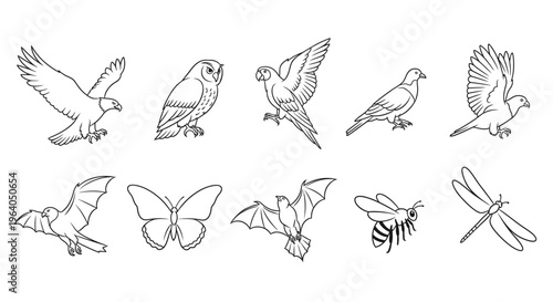 Insects and birds in flight.