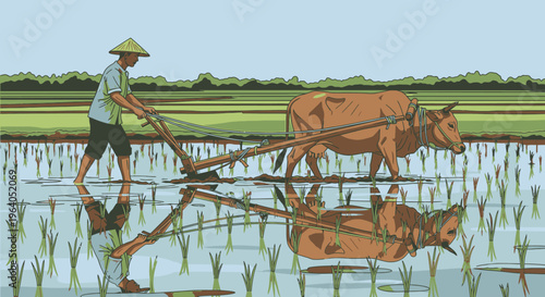 Man plowing rice field with oxen.