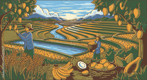 People harvesting oranges in a field.