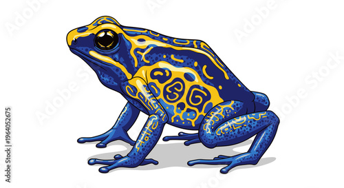 Poison Dart Frog Closeup Profile View.