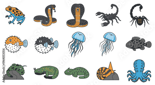 Sea creatures and animals illustrations.
