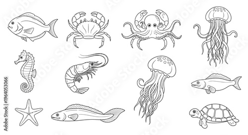 Sea creatures illustrations in black and white.