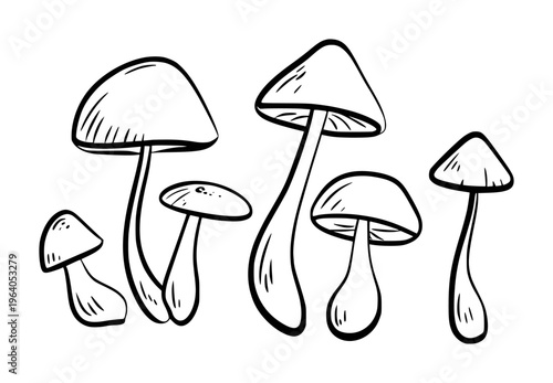 Hand drawn black and white outline of various mushrooms a white background fungi