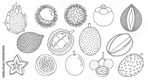 Variety of exotic fruit types 1.