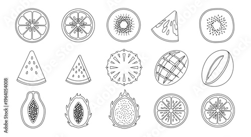 Variety of fruit cross section illustrations.