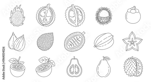 Variety of fruit icons and illustrations 1.