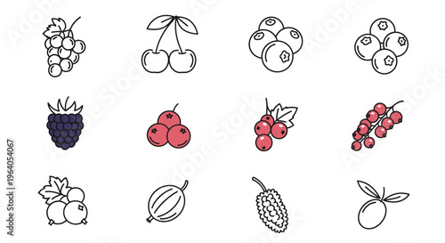 Variety of fruit icons in illustration 2.