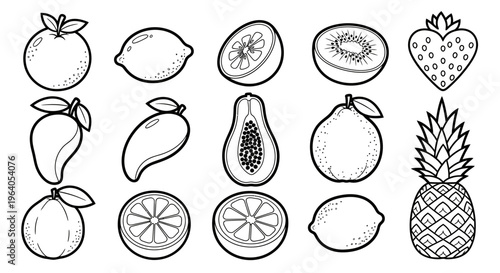 Variety of fruit icons in illustrations 1.