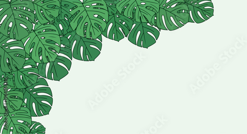 Green Monstera Deliciosa Leaves Pattern Illustration