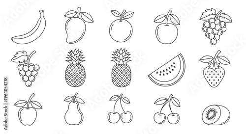 Variety of fruit icons line art 9.
