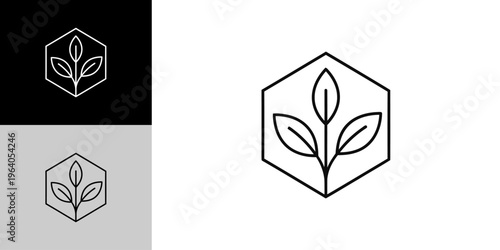 Minimalist line art logo featuring a plant sprout with three leaves enclosed within a hexagonal geometric shape, presented in black and white variations.
