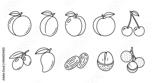 Variety of fruit icons line drawings 2.