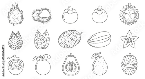 Variety of fruit icons line drawings 4.