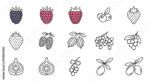 Variety of Fruit Icons Line Style.