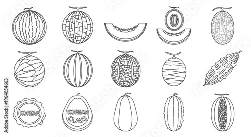 Variety of melons and gourds.