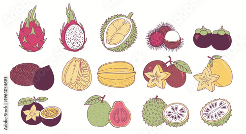Variety of tropical exotic fruits.