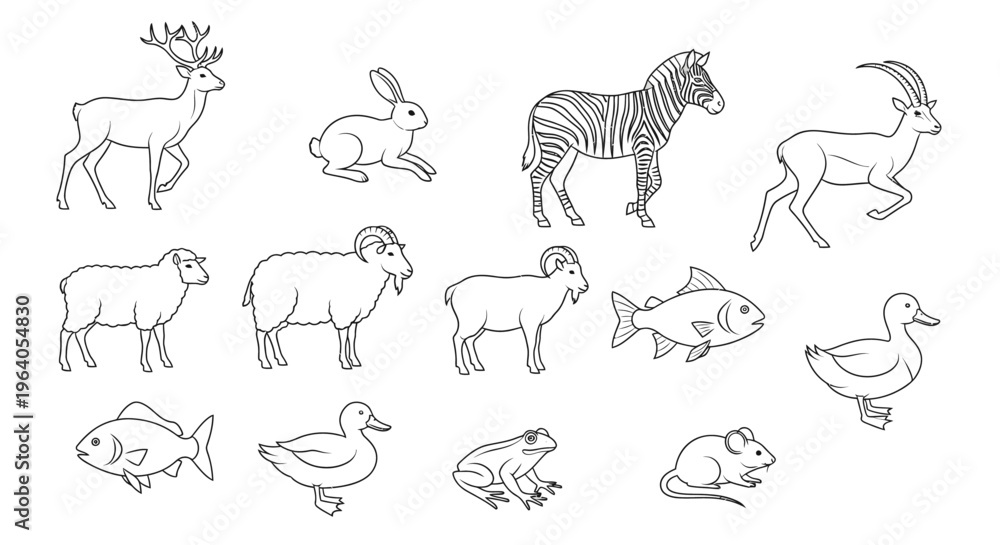 Naklejka premium Various animals in a single frame 5.