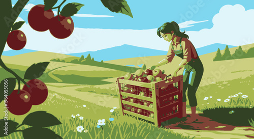 Woman picking apples in a field.