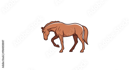 Brown Horse Walking with Head Down Isolated on White