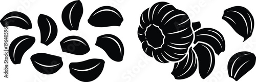 Garlic bulb and cloves black silhouette vector set isolated on transparent background