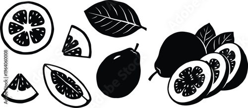 Guava fruits and slices with leaves on white background