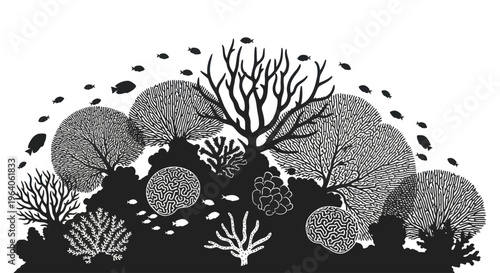 Coral Reef with Various Sea Life.