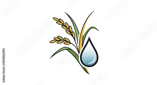 Water drop with green grass wheat.