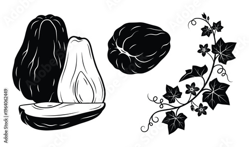 Avocado slices fruit and vine isolated on white background black and white illustration healthy