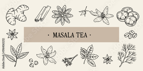 Masala tea ingredients illustration with botanical elements a dark silhouette