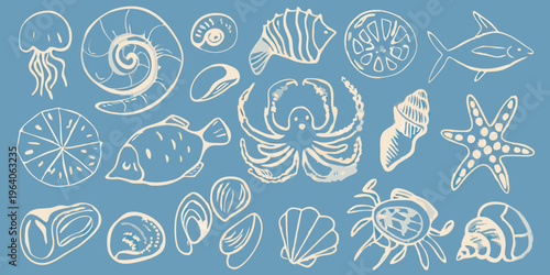 Sketch of various marine life and shells a blue background silhouette