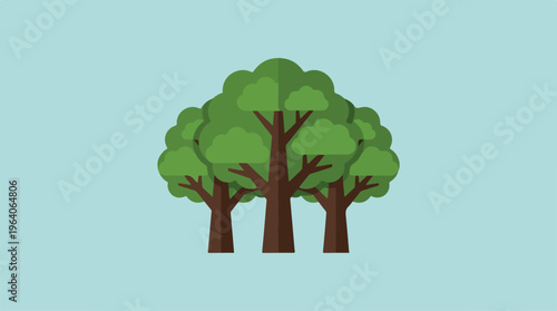 Three trees in the forest with green leaves and brown trunks.