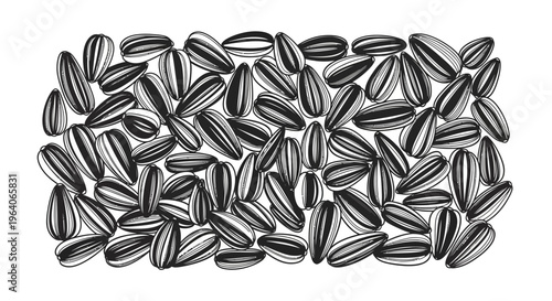 Hand Drawn Sunflower Seeds Pattern - Black and White Illustration