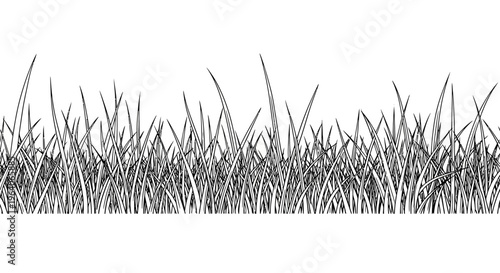 Black and White Grass Border Design