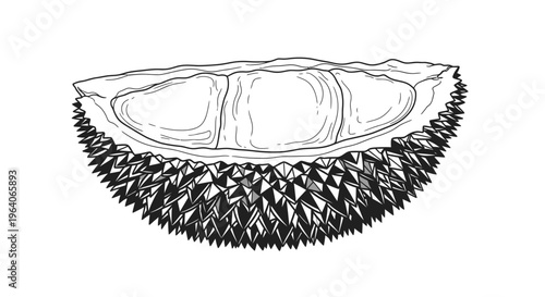 Durian Fruit Half Slice, Spiky Exotic Food, Tropical Asian Delicacy