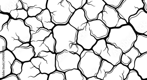 Cracked Earth Texture Seamless Pattern Black White Abstract Background
