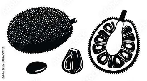 black silhouette of jackfruit, whole, cut, seed and segment vector illustration on transparent