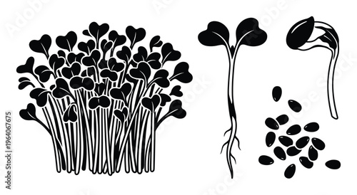 black silhouette of microgreens, seedlings, sprouts, and seeds set vector illustration isolated