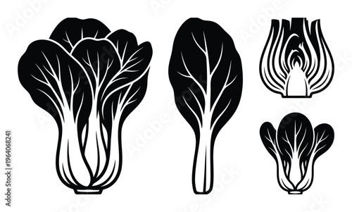 Bok choy cabbage icons whole and leaves sliced cross section vector silhouette