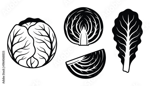 Cabbage varieties sliced whole and leaf isolated on transparent background, food illustration