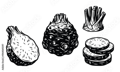 Celery root and cut celery stalks and slices isolated on transparent background