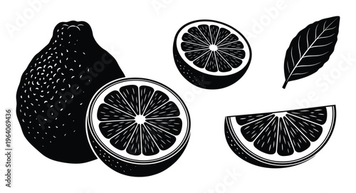 Citrus fruit collection with whole pomelo and orange slices plus green leaf silhouette illustrations