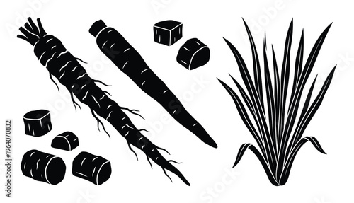 Ginseng and root vegetables set with sliced pieces and a green onion plant vector silhouette