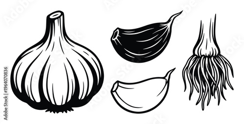 Garlic bulb and cloves set flat style vector illustration pungent herb design