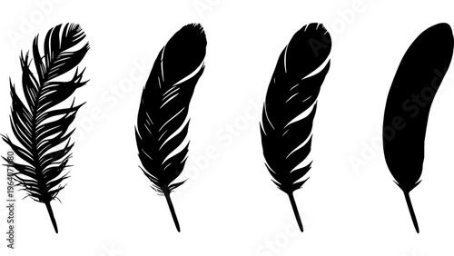 Elegant Feather Silhouettes, Delicate Quill Vector Graphics, Minimalist Bird Plumage Icons, Natural Design Elements